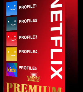 Abonnement Netflix 1 mois Premium – 1 Écran